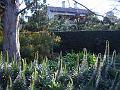 Melbourne Botanic Gardens IMGP2134